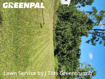 Grass Cutting nearby Port Charlotte, FL, 