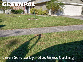 Lawn Mow nearby Apopka, FL, 
