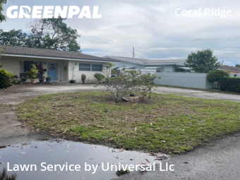 Grass Cut nearby Fort Lauderdale, FL, 