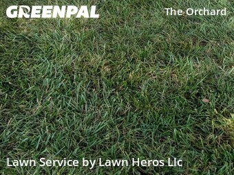 Yard Cutting nearby Greensboro, NC, 