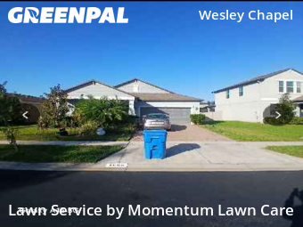 Lawn Mowing Servicein Wesley Chapel,33543,Lawn Mow by Momentum Lawn Care, work completed in Jan , 2026