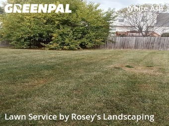 Grass Cut nearby Canal Winchester, OH, 