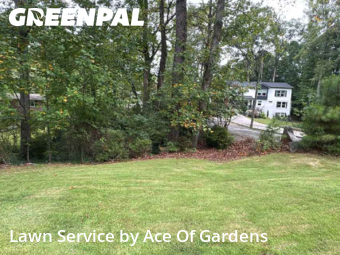 Yard Upkeep in Chamblee, 30341, Lawn Services by Ace Of Gardens, work completed in Nov , 2025