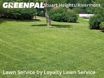 Landscaping Services In Chattanooga,37415,Landscapers by Loyalty Lawn Service, work completed in Jun , 2026