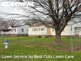 Yard Cutting nearby Roanoke, VA, 