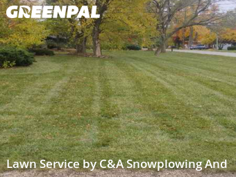 Grass Cut nearby Arlington Heights, IL, 