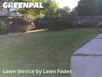 Lawn Cut nearby Davis, CA, 