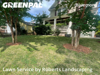 Grass Cutting nearby Arlington, VA, 