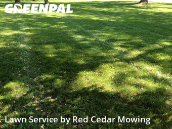 Grass Cut nearby Lansing, MI, 