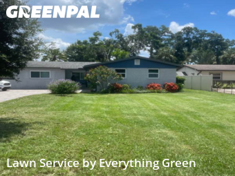 Yard Services in Maitland, 32751, Yard Work by Everything Green , work completed in Nov , 2025