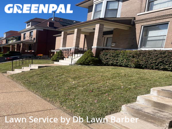 Grass Cutting nearby St. Louis, MO, 