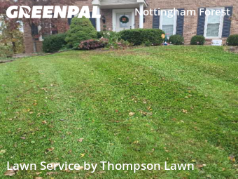 Grass Cutting in Overland Park, 66213, Yard Care by Thompson Lawn, work completed in Nov , 2025