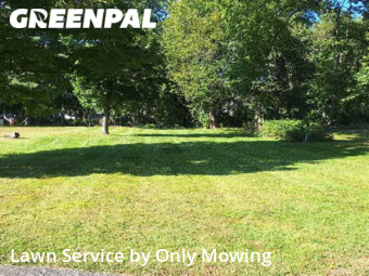 Grass Cut nearby Delmar, NY, 