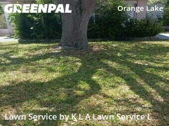 Grass Cut nearby Largo, FL, 