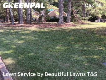 Grass Cut nearby Covington, GA, 