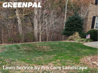 Lawn Mow nearby Harrisburg, NC, 