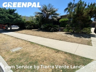 Yard Cutting nearby Carson, CA, 