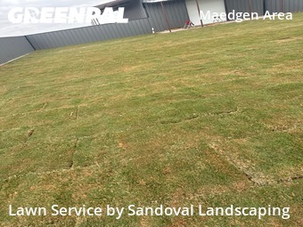 Lawn Care nearby Lubbock, TX, 