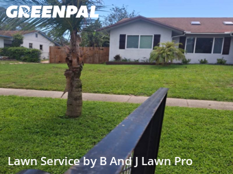 Grass Cut nearby Tarpon Springs, FL, 