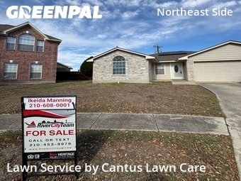 Lawn Mow nearby Converse, TX, 