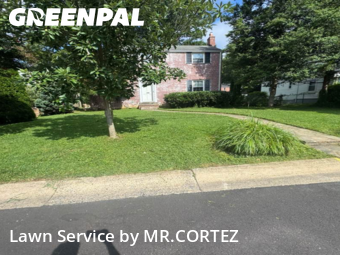 Grass Services in Bethesda, 20816, Yard Upkeep by MR.CORTEZ, work completed in Oct , 2025