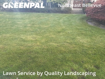 Yard Cuttingin Bellevue,98008,Grass Cut by Quality Landscaping, work completed in Jun , 2026
