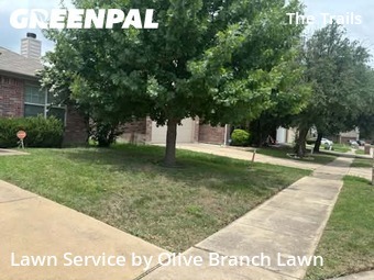 Local Lawn And Landscape Maintenance Services Near Me In Fort Worth,76131,Landscaping Maintenance by Olive Branch Lawn, work completed in Jun , 2026