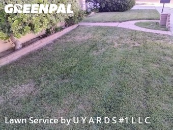 Lawn Cutting nearby Modesto, CA, 
