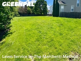 Grass Cutting nearby Aurora, IL, 