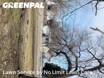 Lawn Mow nearby Granite City, IL, 