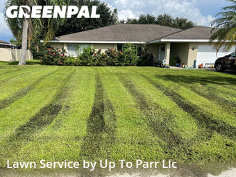 Grass Cut nearby Cape Coral, FL, 