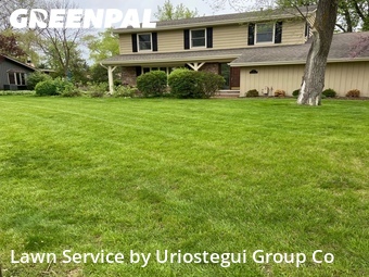 Lawn Maintenance nearby Grayslake, IL, 