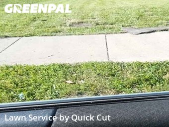 Yard Mowing nearby Chicago, IL, 