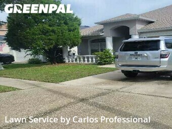 Lawn Mowing Service nearby Tampa, FL, 