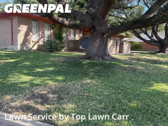Lawn Carein Garland,75043,Lawn Care Service by Top Lawn Carr, work completed in Nov , 2025