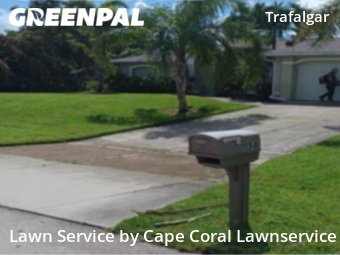 Lawn Cut nearby Cape Coral, FL, 