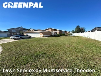 Grass Cut nearby Kissimmee, FL, 