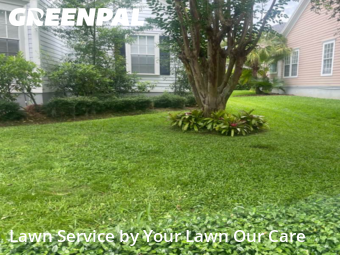 Backyard Mowing in Celebration, 34747, Lawn Maintenance by Cnp Lawn Care, work completed in Oct , 2025