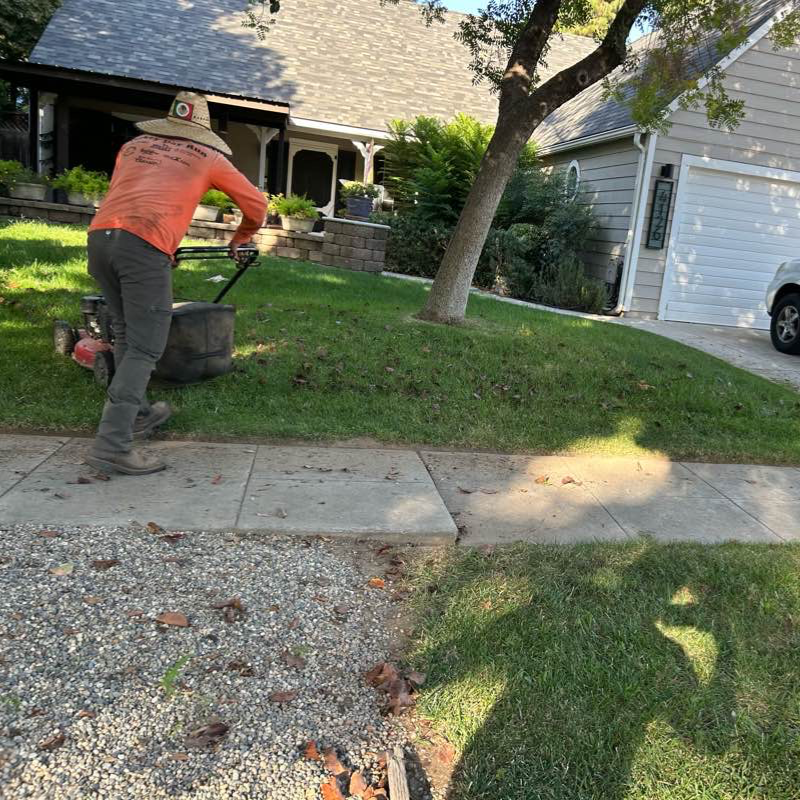 affordable-landscaping-maintenance-services-in-Fresno-CA