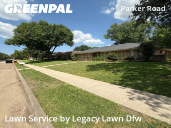 Lawn Care Service nearby Plano, TX, 
