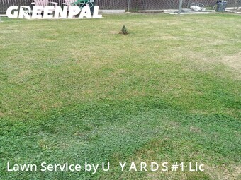 Lawn mowing work completed in Turlock, CA