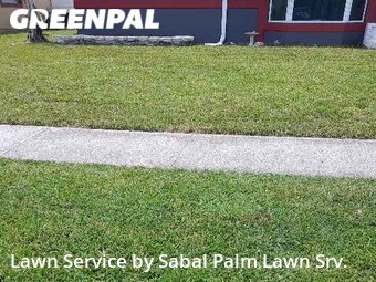 Lawn Upkeep in Lauderdale Lakes, 33309, Lawn Upkeep by Sabal Palm Lawn Srv., work completed in Oct , 2025