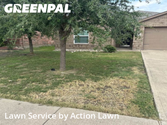Lawn Care nearby Forney, TX, 