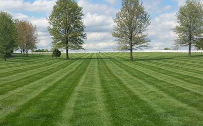 Work Image 4