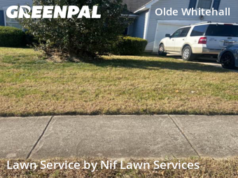 Lawn Maintenance nearby Charlotte, NC, 