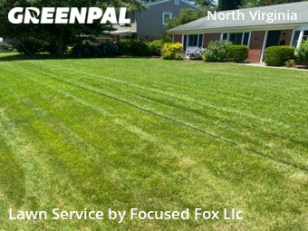 Lawn Mowing Service nearby Virginia Beach, VA, 