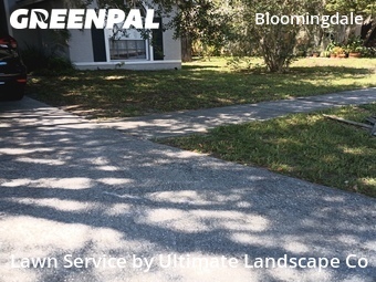 Lawn mowed in Bloomingdale, 33596