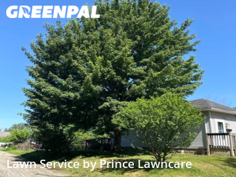 Lawn Cutting nearby Sidney, OH, 