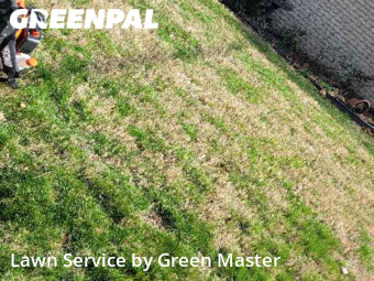 Lawn Care Service nearby Livonia, MI, 