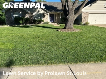Yard Cutting nearby Maryland Heights, MO, 